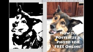 How to Posterize a Photo Online for Free without Photoshop [upl. by Rae]