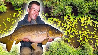 Carp Fishing on the River  an EPIC start to our fishing season [upl. by Nowell]