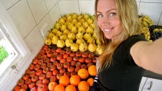 What I eat per week on a FullyRaw RAW FOOD Diet  Go Fruit Yourself [upl. by Carie]