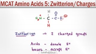 Zwitterion and Amino Acid Charge Given pH and pKa [upl. by Lhok591]