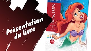 Disney Princesses  coloriages Mystères  Hachette Heroes [upl. by Eiramaneet211]