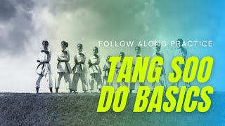 How to Drill Basic Tang Soo Do Techniques [upl. by Jann]