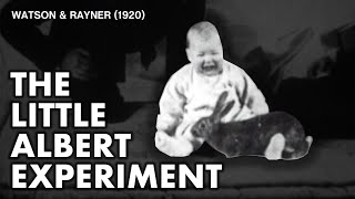 The Little Albert Experiment  Watson amp Rayner 1920 [upl. by Rebmyk]