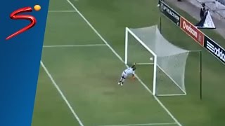 Three superb South African goals [upl. by Weissberg]