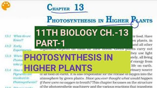 Class 11 BiologyCh13 Part1Photosynthesis in higher plantsStudy with Farru [upl. by Castora]