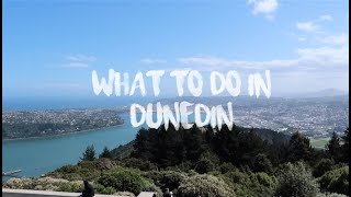 TOP THINGS TO DO IN DUNEDIN NZ [upl. by Dynah]