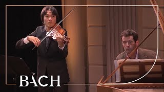 Bach  Sonata for violin and harpsichord no 3 in E major BWV 1016  Netherlands Bach Society [upl. by Neema]