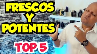 PERFUMES FRESCOS y DURADEROS Top 5 [upl. by Dustman]