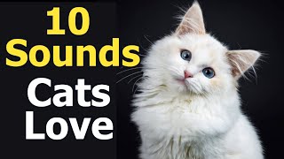 10 Sounds Cats Love To Hear The Most [upl. by Adlee720]