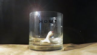 How the Homunculus moves in the Glass [upl. by Aeet977]