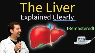 Whipple Procedure Hepatic Arterial Anatomy [upl. by Rivard453]