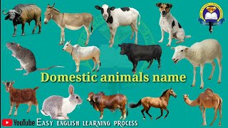 DOMESTIC ANIMALS NAME  Learn Domestic Animals Sounds and Names  Easy English Learning Process [upl. by Ttiwed276]