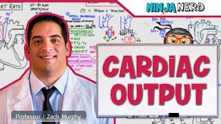 Cardiovascular  Cardiac Output [upl. by Grider]