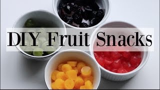 DIY Homemade Natural Fruit Snacks  Gummies  4 Recipes ♡ NaturallyThriftyMom [upl. by Nosde]