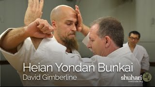 Heian Yondan  Pinan Yondan Bunkai Oyo Kata for Self Defense Applications [upl. by Lurlene845]