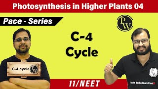 Photosynthesis in higher Plants 04  C4 Cycle  Class 11  NEET  Pace Series [upl. by Estis395]