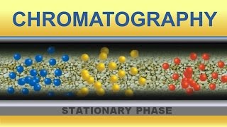 Chromatography Animation IQOGCSIC [upl. by Atinra]