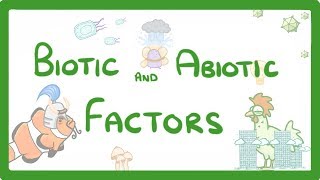 GCSE Biology  Biotic and Abiotic Factors 83 [upl. by Svirad]