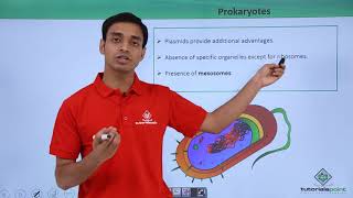 Class 11th  Prokaryotes – Introduction  Cell The unit of Life  Tutorials Point [upl. by Arondel]