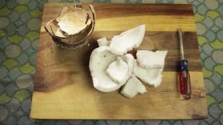 How to Eat a Raw Coconut [upl. by Arbe]