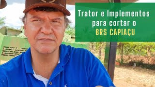 Trator e implementos necessários para cortar o Brs Capiaçu [upl. by Aihsena]