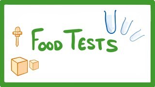 GCSE Biology  Food Tests Practicals 16 [upl. by Rizika]