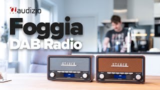 Audizio Foggia Retro DAB Radio Grey amp Copper [upl. by Clougher]