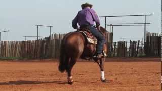 Reiner vs Cow Horse [upl. by Lacee]