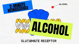 2Minute Neuroscience Alcohol [upl. by Enitsugua97]