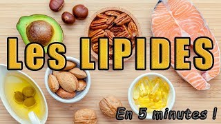 Les LIPIDES en 5 minutes [upl. by Bab]