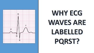 Why ECG waves are labelled as PQRST [upl. by Eniar978]