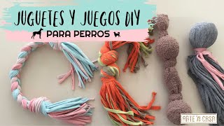 DIY juguetes y juegos para perros [upl. by Amick]