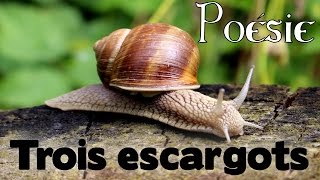 Poésie 🐌 Trois escargots 3 escargots de Maurice Carême 🐌 [upl. by Carrew172]