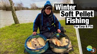 Soft Pellet Fishing For Carp amp F1s In Winter  Lindholme Lakes [upl. by Romeu]