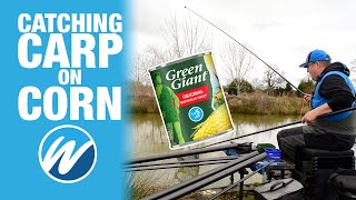 Catching Carp On Sweet Corn  Jamie Hughes  Heronbrook Fisheries [upl. by Friedberg]