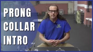 Intro to Prong Collars  How to Dog Training [upl. by Francklyn143]