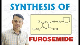 SYNTHESIS OF FUROSEMIDE  PHARMACEUTICAL CHEMISTRY [upl. by Steffin662]