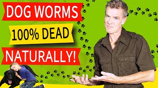 How to Naturally Treat a Dog With Worms 100 Effective Home Remedy [upl. by Brewster]