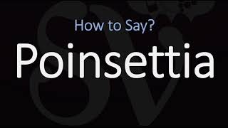 How to Pronounce Poinsettia CORRECTLY [upl. by Antons]