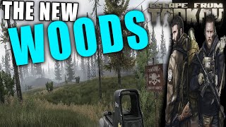 Learn The NEW WOODS EXPANSION  5min  Escape from Tarkov Woods Map [upl. by Ydak]