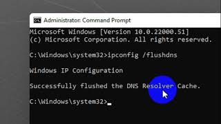 How to Clear and Flush DNS on Windows 11 [upl. by Pearse]