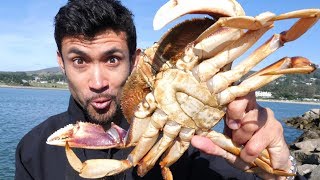 Catch and Cook DELICIOUS Dungeness Crab on the Rocks [upl. by Nelloc]