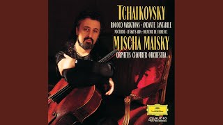 Tchaikovsky String Quartet No 1 in D Major Op 11 TH 111  Orchestral Version  II Andante [upl. by Torres]