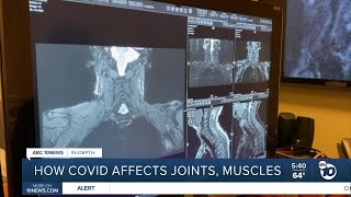 InDepth How COVID19 affects joints muscles [upl. by September483]