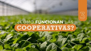 Y las Cooperativas ¿cómo funcionan [upl. by Rolf]