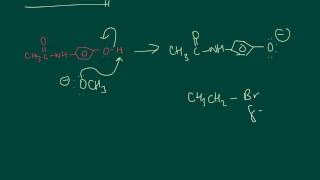 Williamson ether synthesis  phenacetin [upl. by Ikim933]