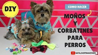 Como hacer moños y corbatines para perros  DIY Mascotas [upl. by Derdle]