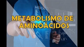 METABOLISMO DE AMINOÁCIDOS [upl. by Ailimat]