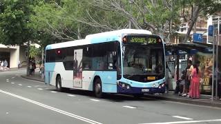 Buses at Circular Quay  Sydney Transport [upl. by Arriat]