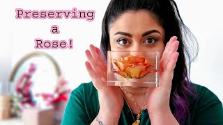 How To Preserve a Full Rose in Resin [upl. by Herrle]